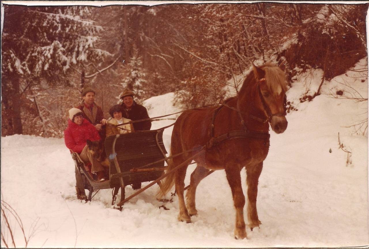 Winterliche Ausfahrt mit einem Haflingergespann