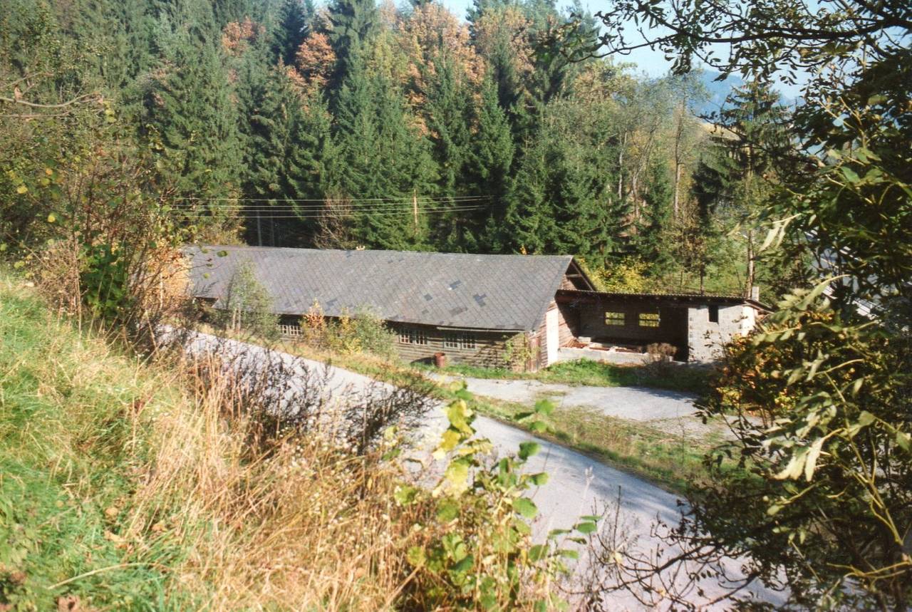 Baum, Busch, Dorfgemeinschaftshaus, Faleschini Säge, Haus, Straße, Tiffen