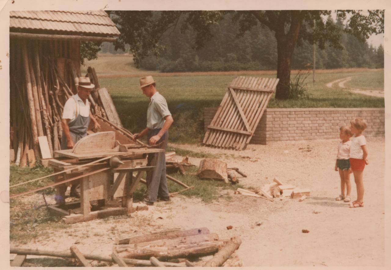 Holz, Holzarbeit, Kind, Kreissäge, Mann, Tiffen