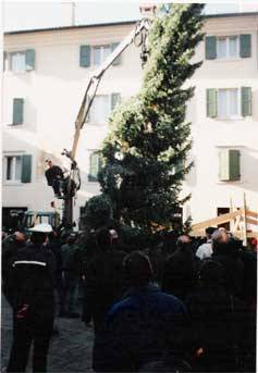 Baum, Christbaum, Fichte, Kran, Mann, Menschen, Platz, Unimog
