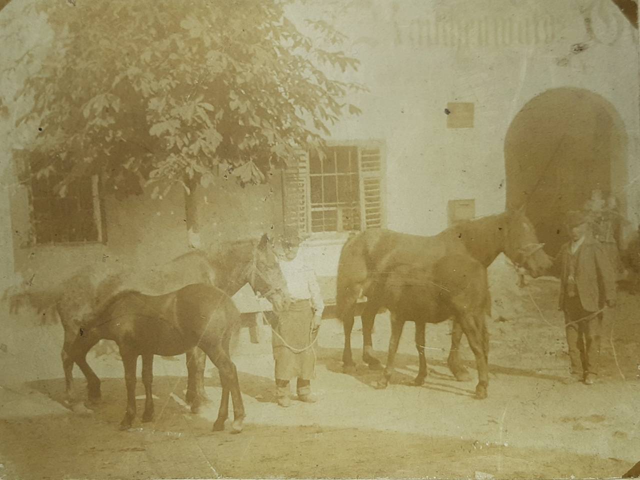 Fohlen, Haus, Mann, Pferd, Tiffen, Tiffnerhof